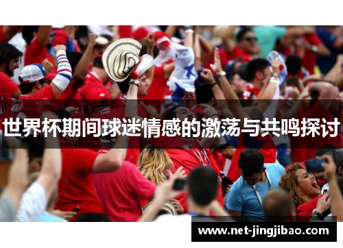 世界杯期间球迷情感的激荡与共鸣探讨