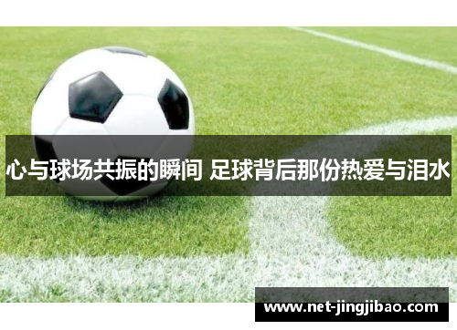 心与球场共振的瞬间 足球背后那份热爱与泪水