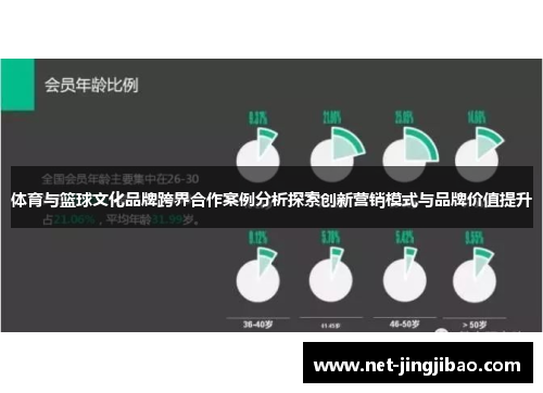 体育与篮球文化品牌跨界合作案例分析探索创新营销模式与品牌价值提升