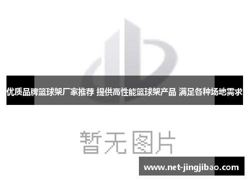优质品牌篮球架厂家推荐 提供高性能篮球架产品 满足各种场地需求