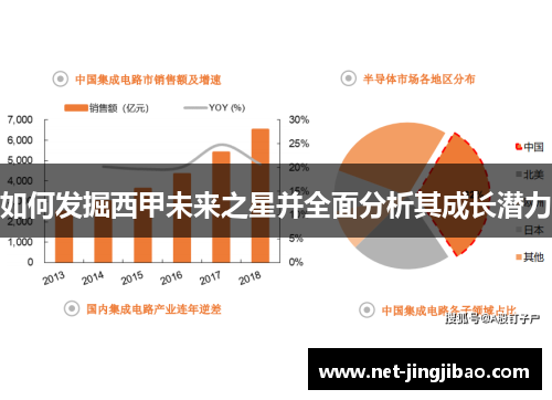 如何发掘西甲未来之星并全面分析其成长潜力