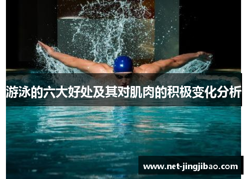 游泳的六大好处及其对肌肉的积极变化分析
