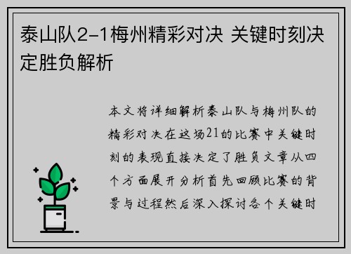 泰山队2-1梅州精彩对决 关键时刻决定胜负解析