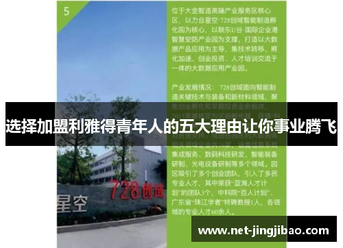 选择加盟利雅得青年人的五大理由让你事业腾飞