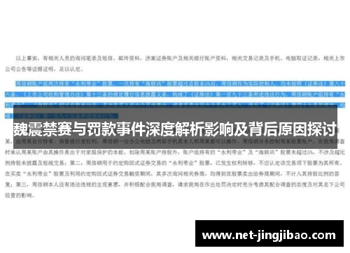 魏震禁赛与罚款事件深度解析影响及背后原因探讨
